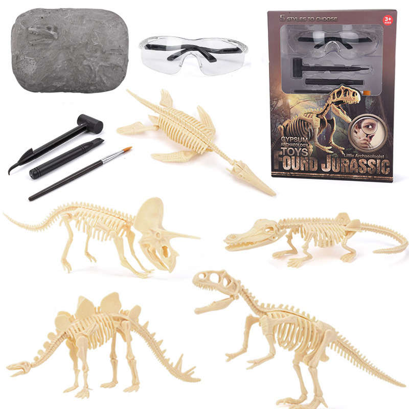 恐竜化石発掘キット STEM 恐竜骨格模型発掘おもちゃ 男の - Model Kit Excavator のレビューと価格